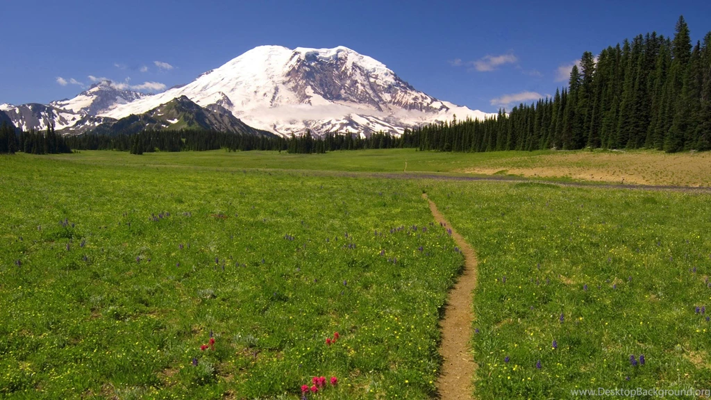Trail Wallpapers Desktop