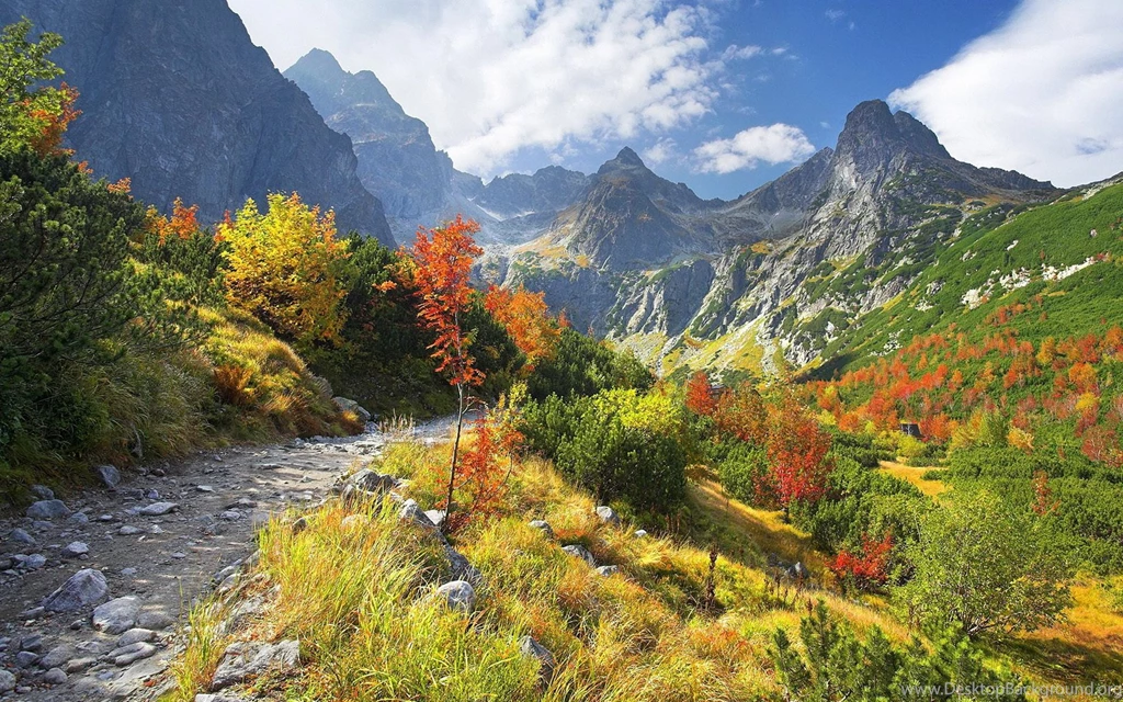 Mountain Trail Wallpapers And Images   Wallpapers, Pictures, Photos