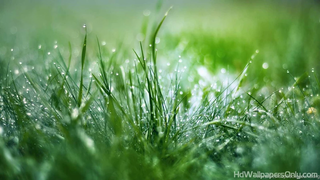 HD Images Wallpapers Free Wallpapers Zone