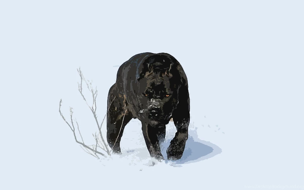 Mean Vector Panther Google Skins, Mean Vector Panther Google ...