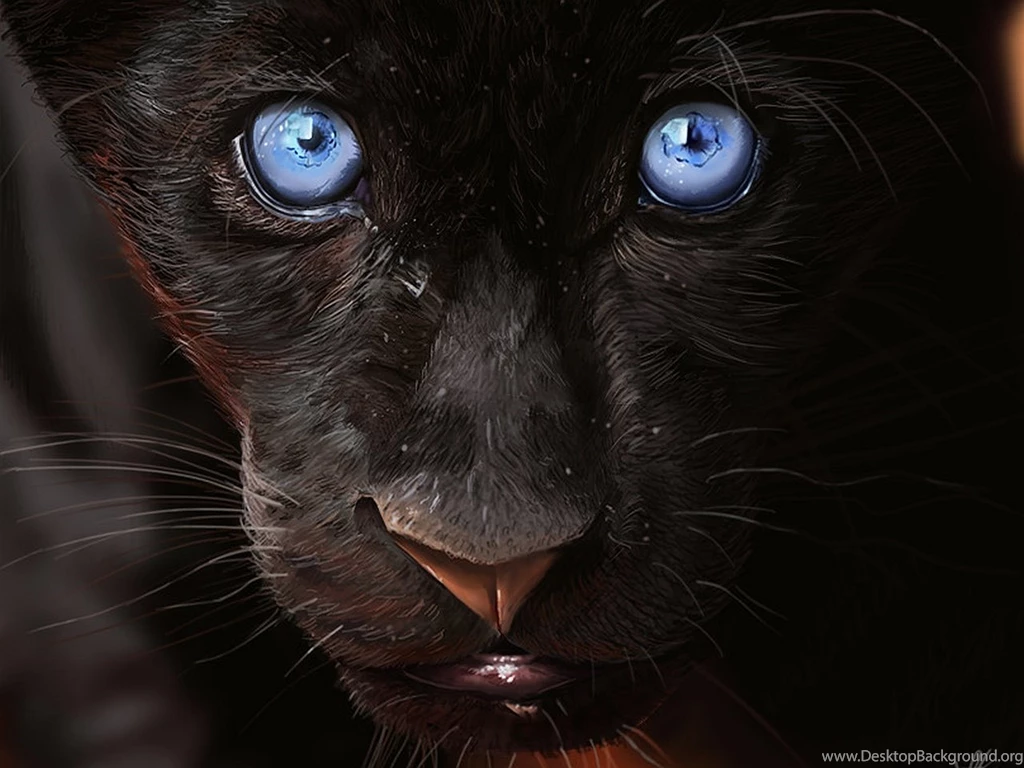 Panther Computer Wallpapers, Desktop Backgrounds