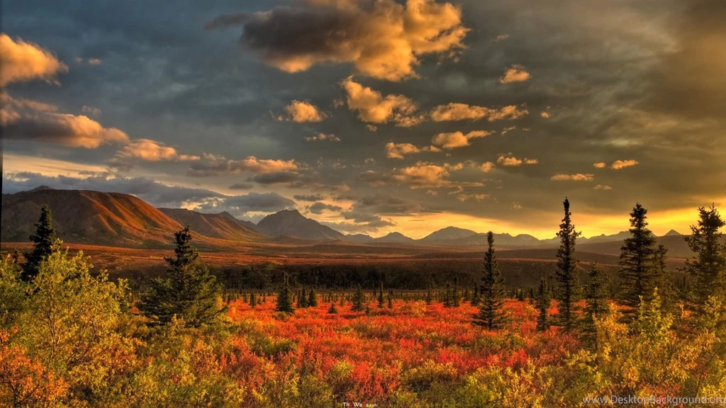 Wallpapers Laura Dore Late Evening Light Bathes The Alaskan Tundra ...