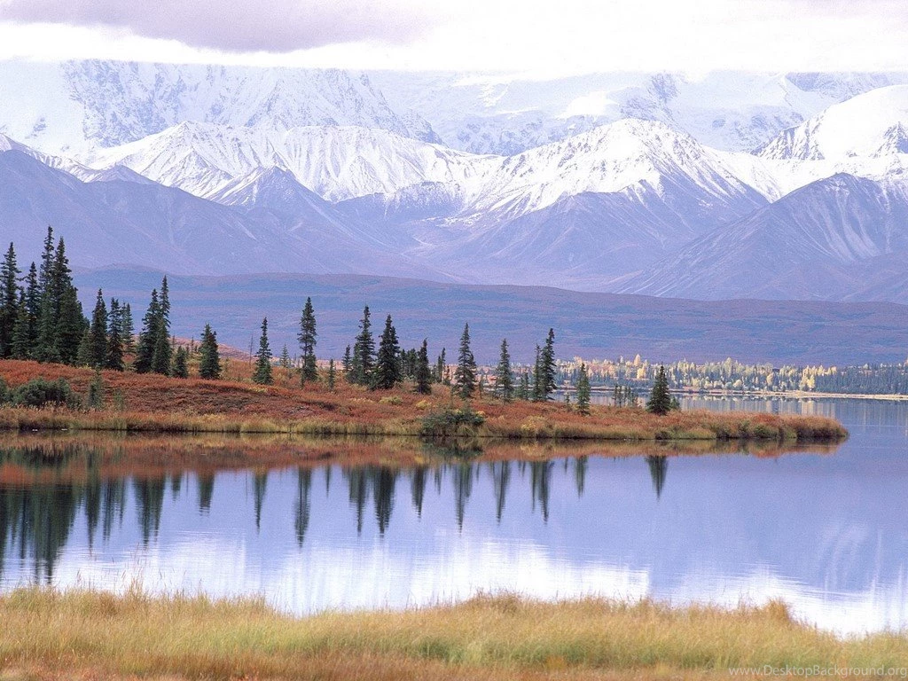 Mount Tundra And Wonder Lake, Denali National Park < Nature < Life ...