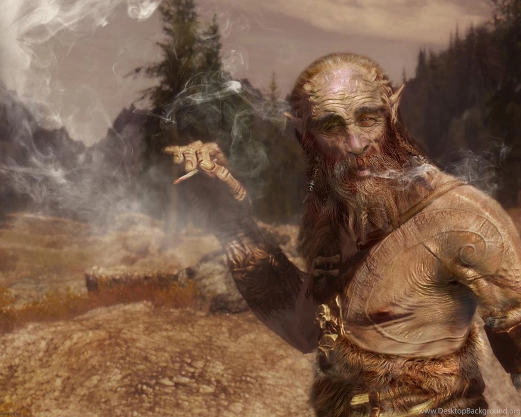 Elder Scrolls V: Skyrim Joint Dragonborn Tundra Wallpapers