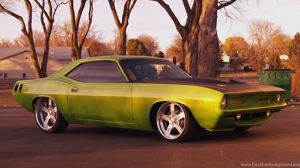 Barracuda Wallpapers