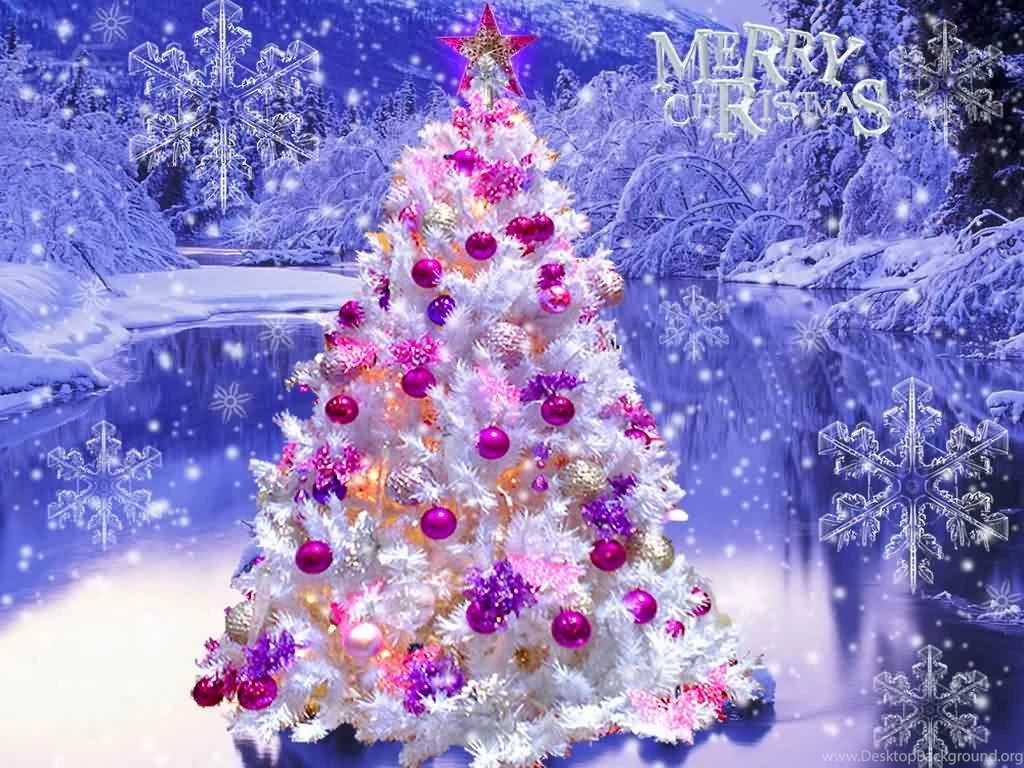 Beautiful Colorful Christmas Tree Merry Christmas Wishes Wallpapers ...