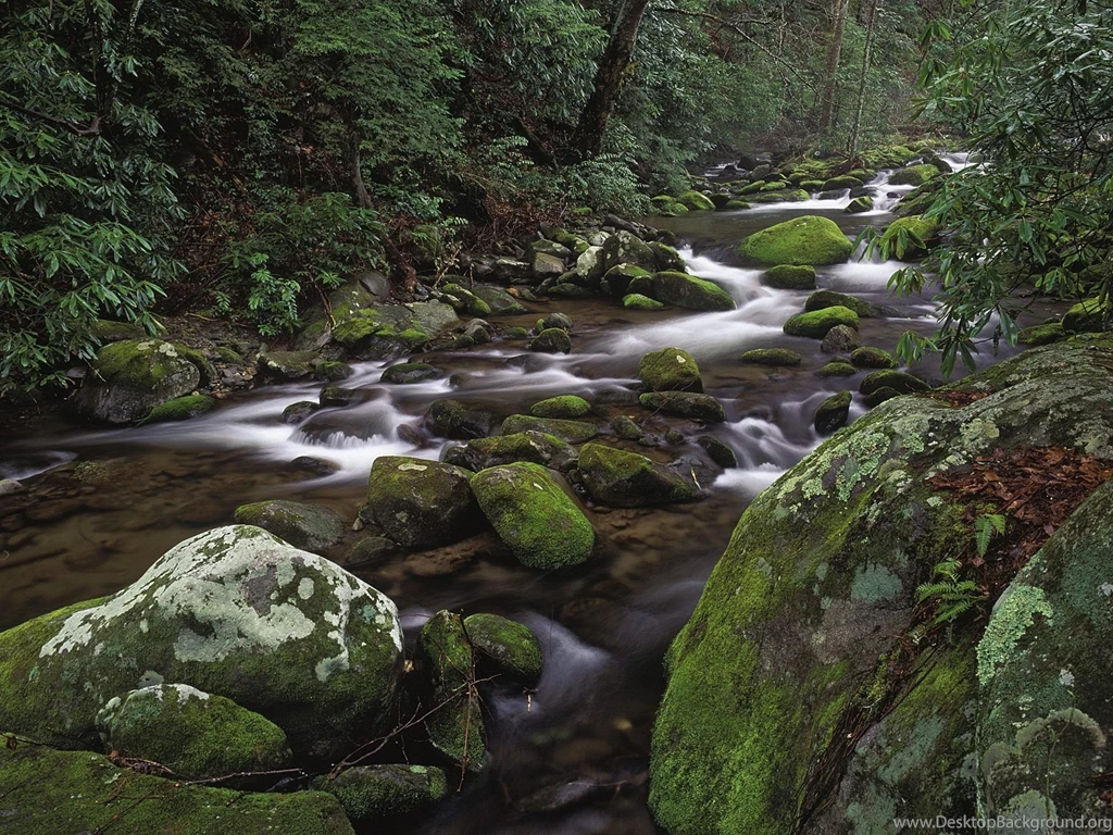 Great Smoky Mountains National Park