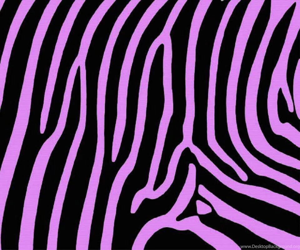 Purple Zebra Wallpapers Wallpapers HD Base