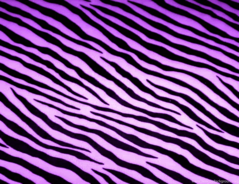 Zebra Stripe Backgrounds Pixbim.com