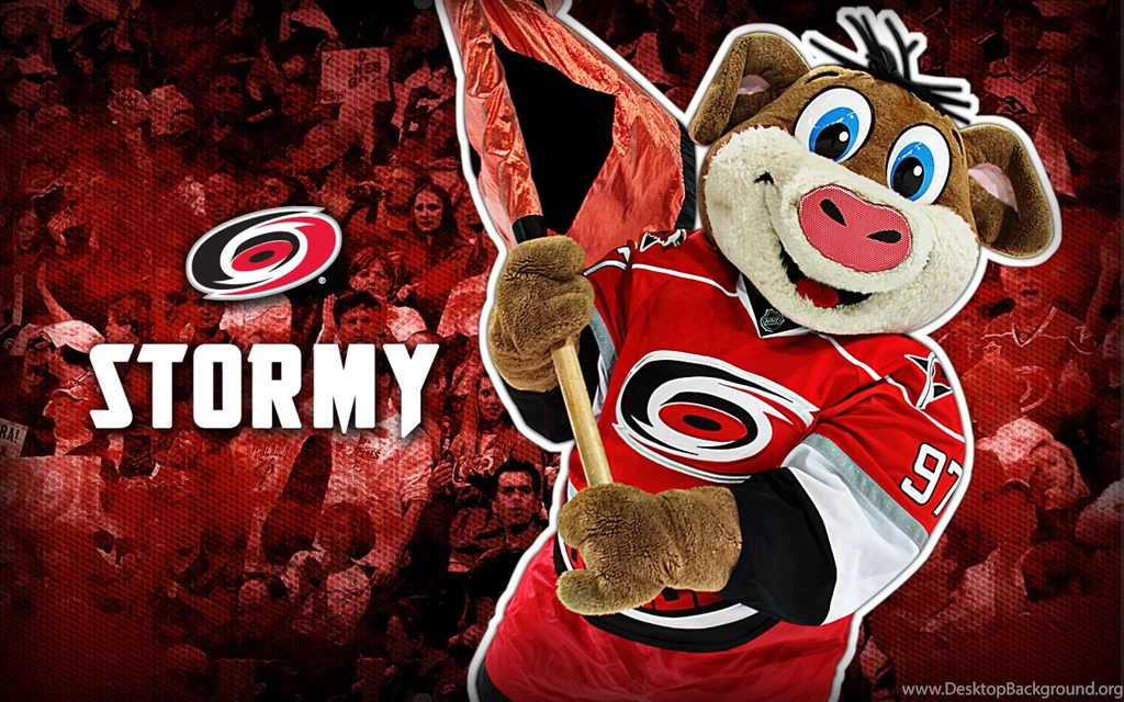 RePin Image: Carolina Hurricanes Images On Pinterest