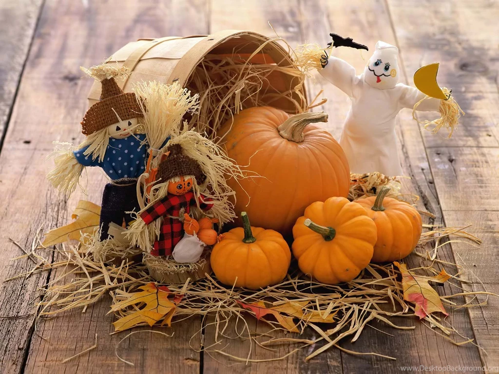 Funny Halloween Pictures Wallpapers HD Base
