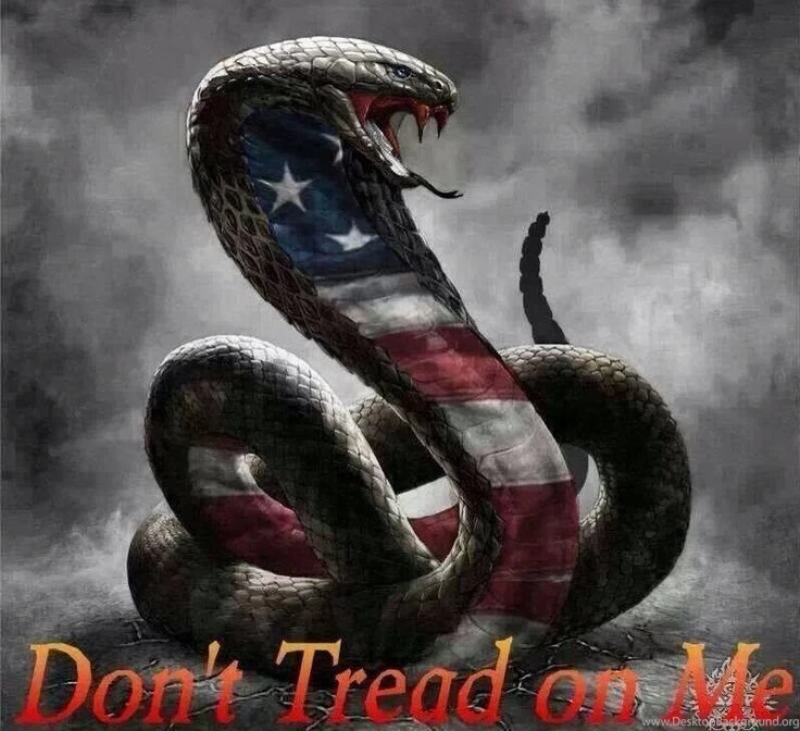 Don't Tread On Me Flag