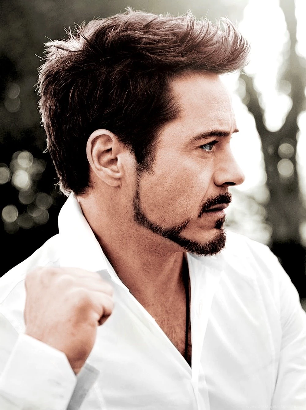 Robert Downey Jr Photos