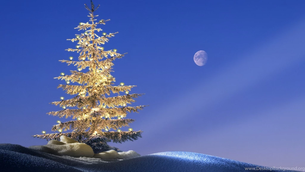 Trees Germany Christmas Bavaria Wallpapers