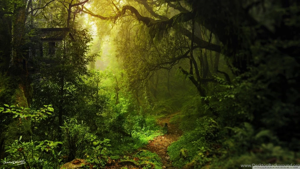 Deep Within HD Desktop Wallpapers : High Definition : Mobile