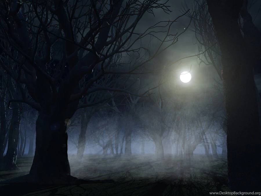 Spooky Forest Backgrounds By Indigodeep On DeviantArt