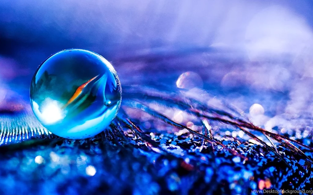 Windows Wallpapers Free