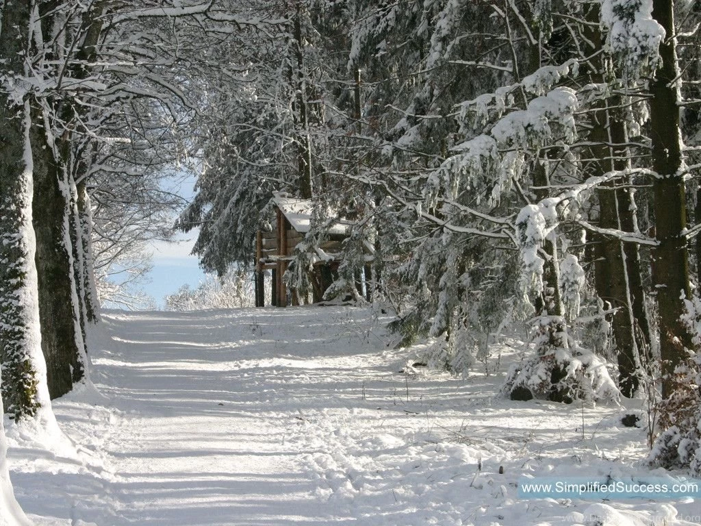 Free Winter Wallpapers For Desktop Wallpapers Cave