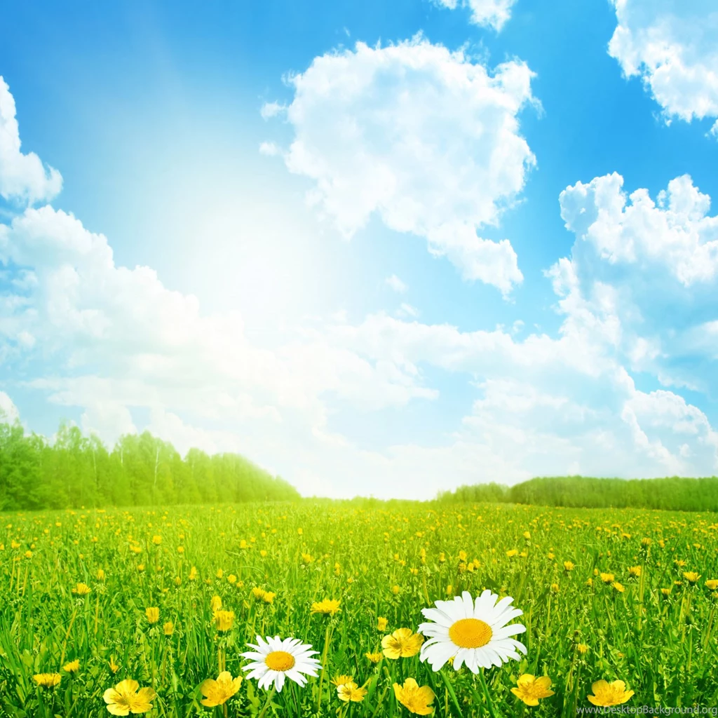 Flowers And Scenery 30547 Rural Scenery Landscape Scenery