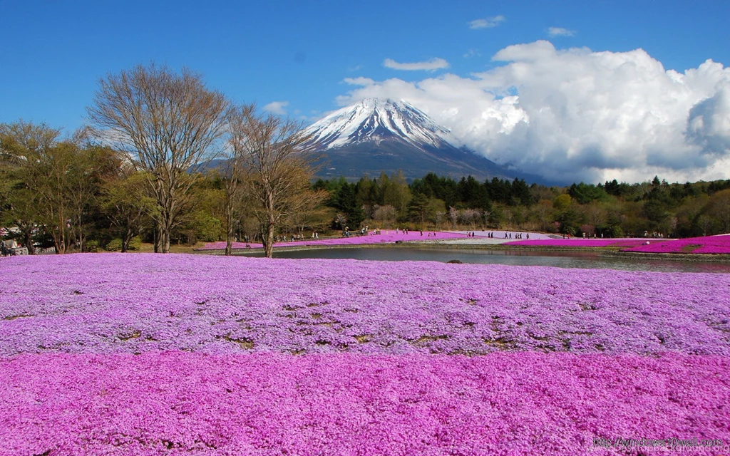 Scenery – Windows 10 Wallpapers