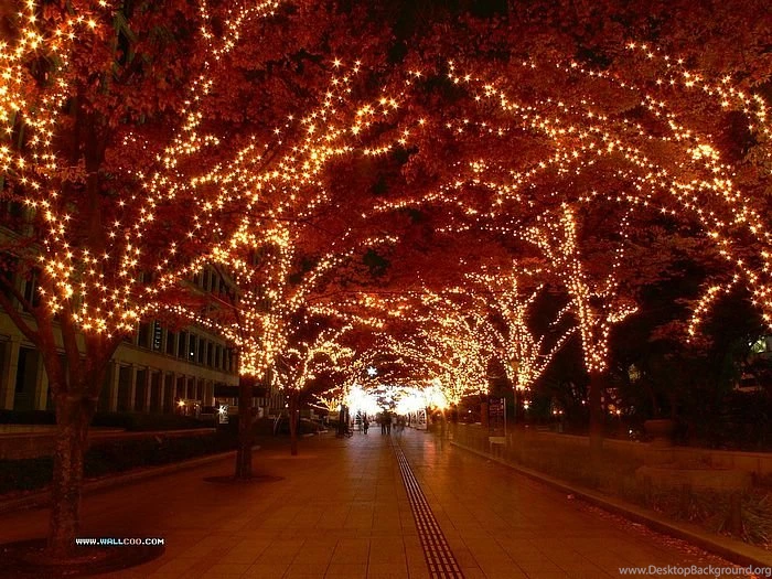 Christmas Light Displays Photo Wallpapers 95   Wallcoo.net