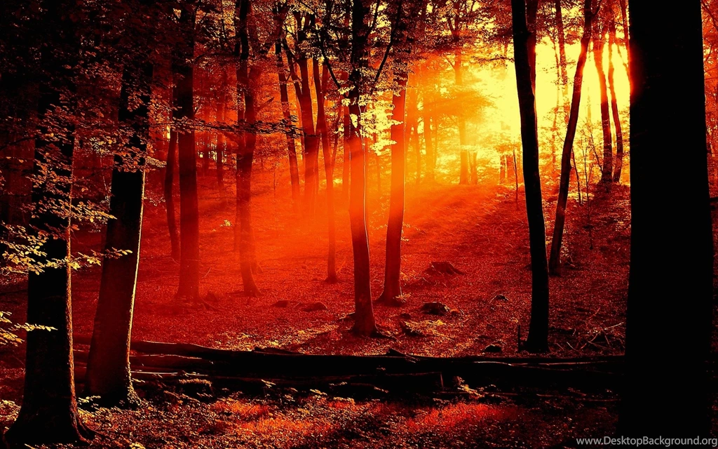 Nature Wallpapers Free Download