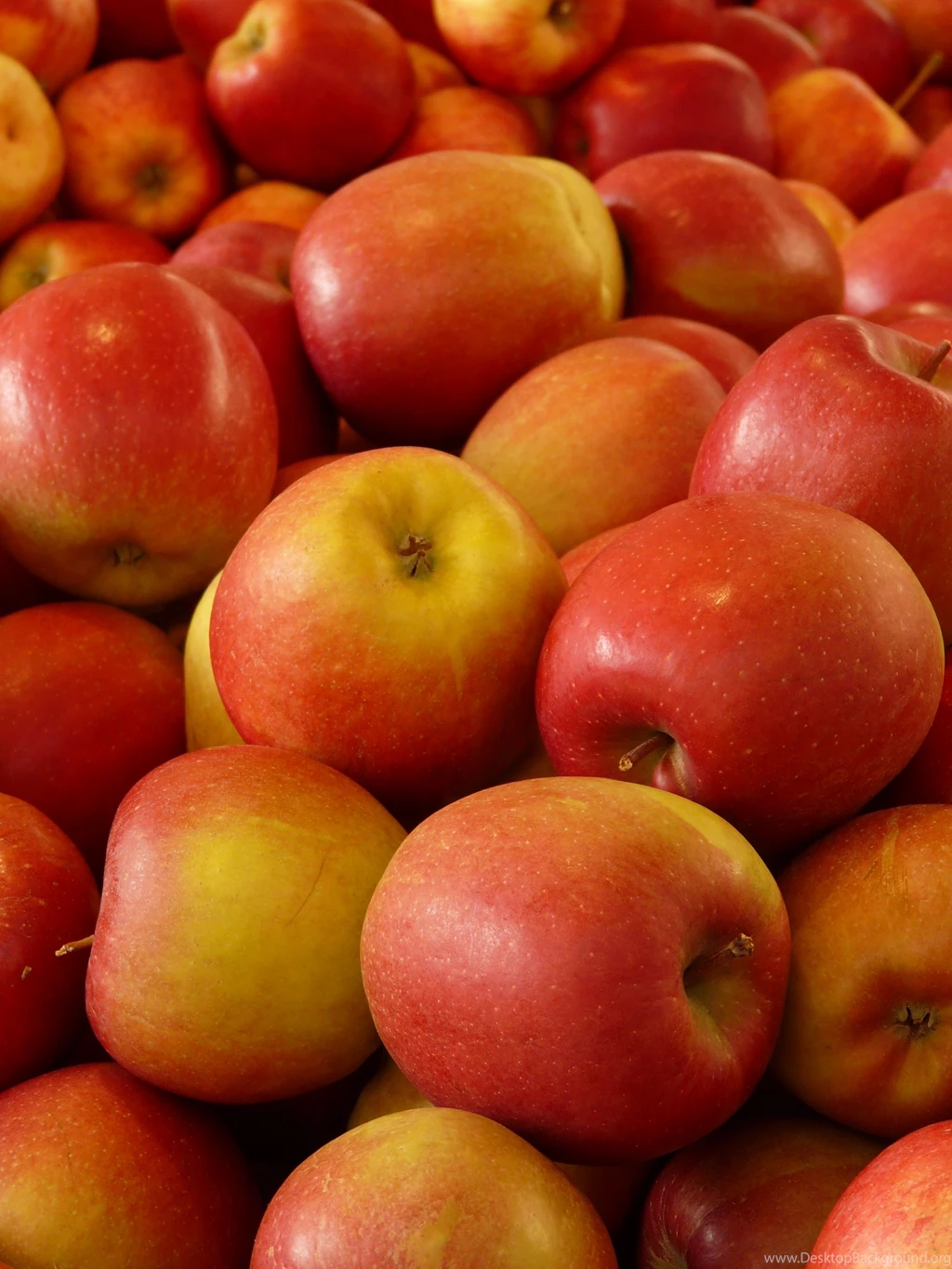 HD Apple Fruits Wallpapers Downloads