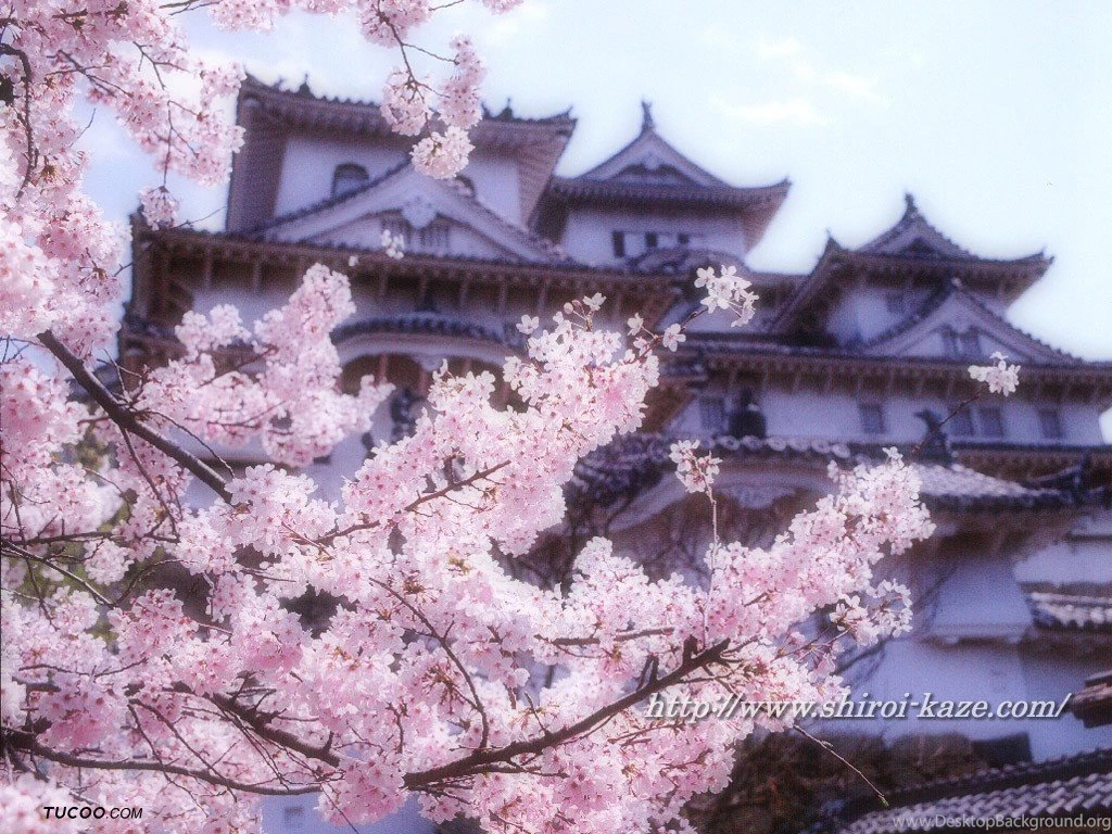 Japanese Temple Pictures