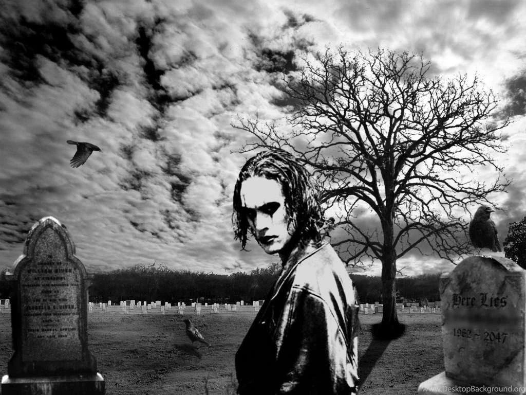 View Of The Crow Wallpapers : Hd Wallpapers