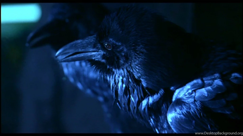 The Crow Wallpaper Backgrounds