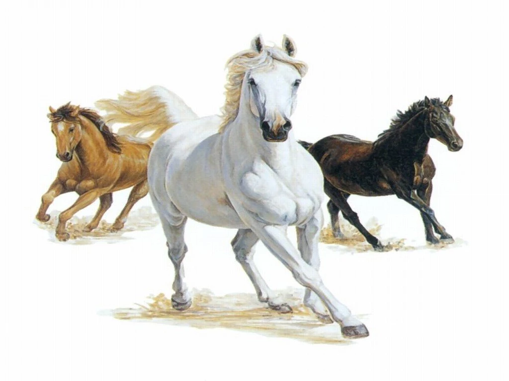 Three Horses White Black And Brown Wallpapers
