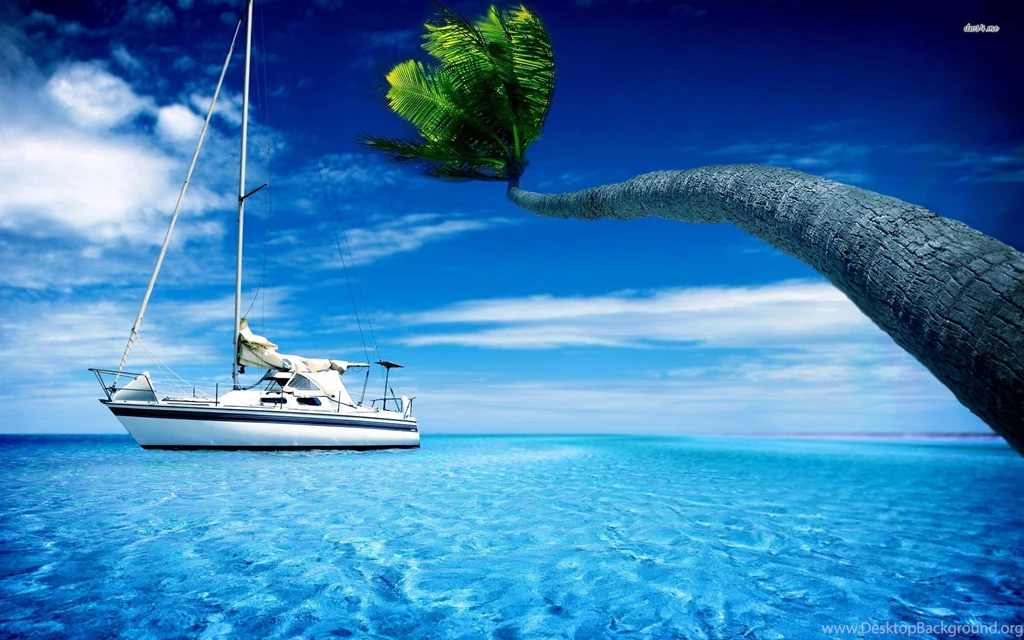 Palm Tree And Boat