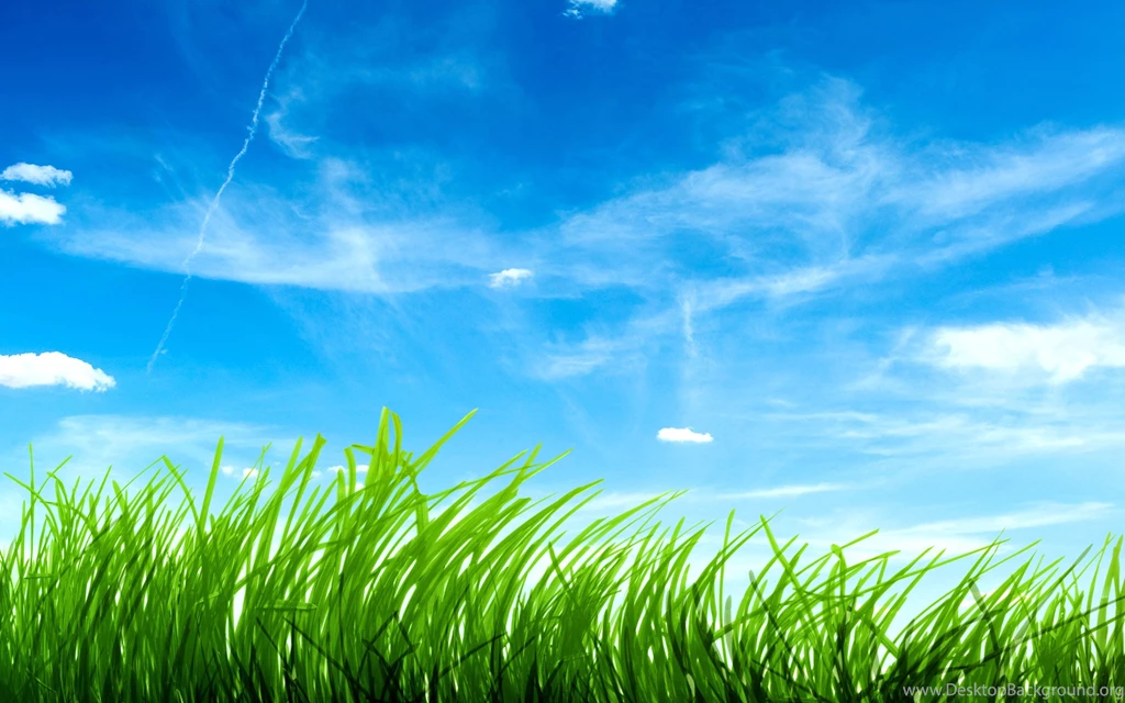Dream Spring 2012 The Freshness Of Grass Wallpapers HD ...