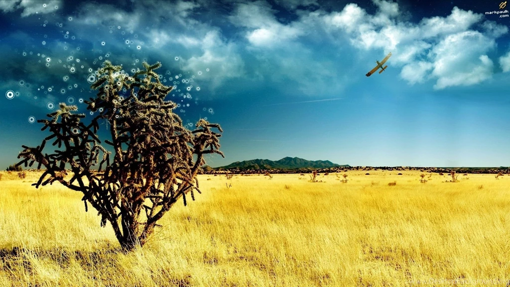 The_magic_tree_wallpaper_pack_by_mpk_1920x1080.jpg