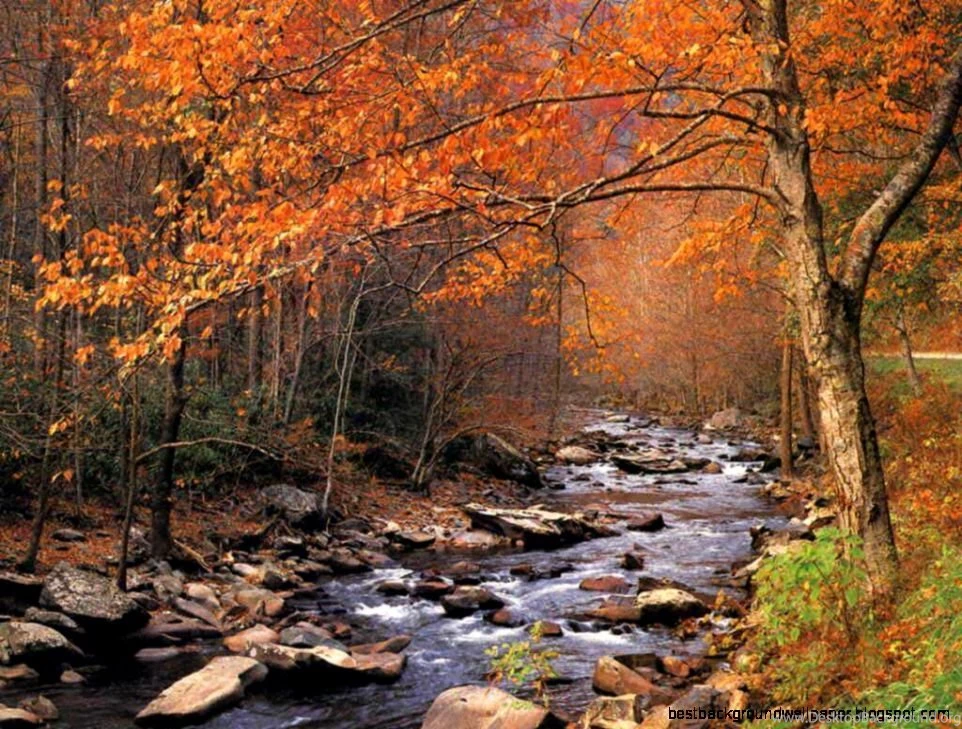 Fall Backgrounds For Desktop Wallpapers