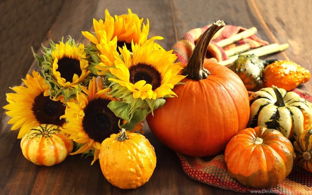 Pumpkin Desktop Wallpapers Wallpapers HD Wide