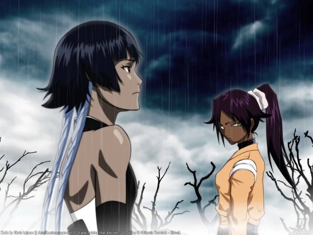 Yoruichi Wallpapers Yoruichi Fanbase Wallpapers (16523523) Fanpop