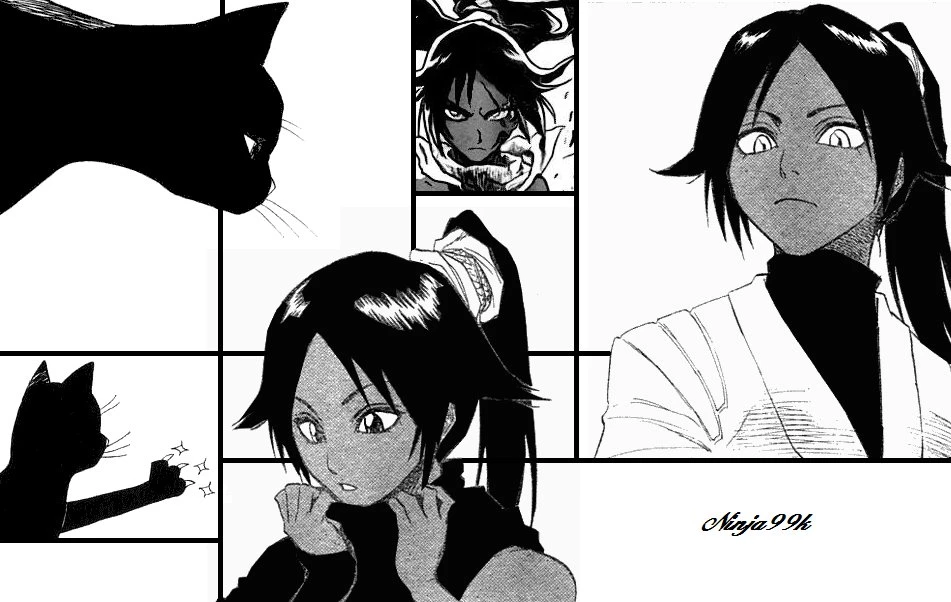 Yoruichi Wallpapers By Ninja99k On DeviantArt