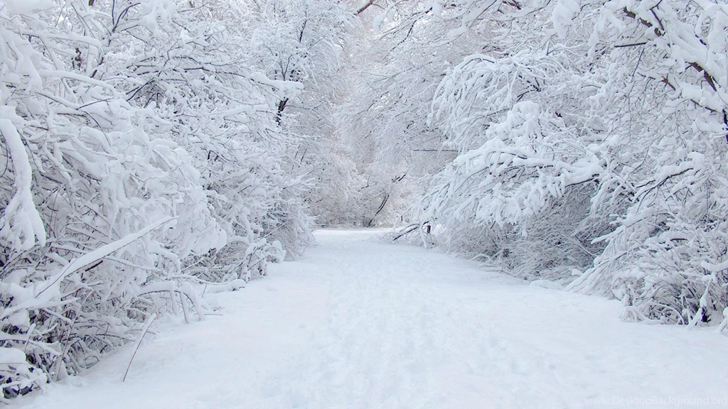 Winter Wonderland Desktop Wallpapers HD Wallpaper Backgrounds Of ...