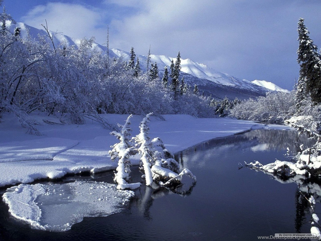 Free Wallpapers   Free Nature Wallpapers   Winter Wonderland 2 ...