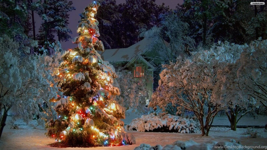 Winter Wonderland Christmas Tree Winter Christmas Tree X ...