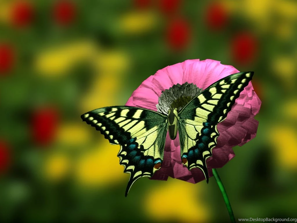50 Beautiful Flower Wallpaper Images For Download