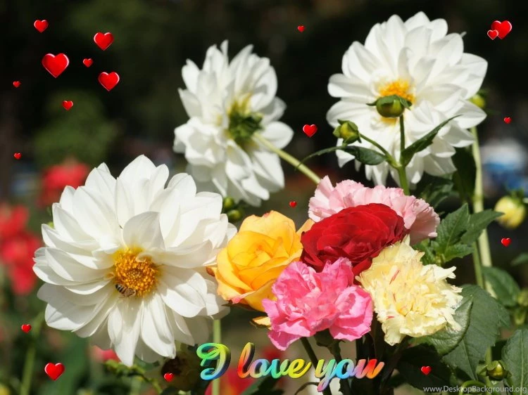 Beautiful Flowers Wallpapers Free Download ~ Toptenpack.com