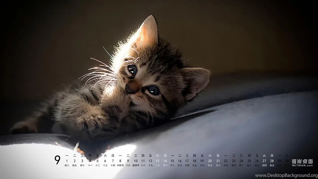 The Other Side Of The Desktop In September 2014 Calendar Kitten ...