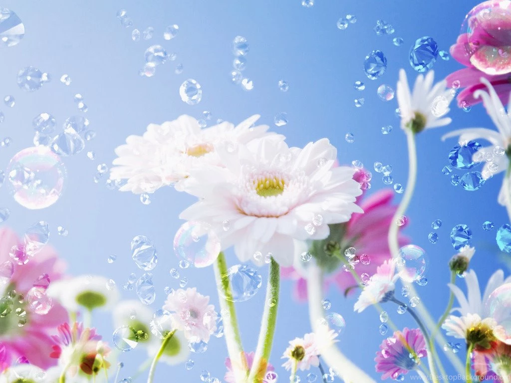 Wallpapers Cartoon Cute Girls Wallcoo Wallpapper Illustration ...