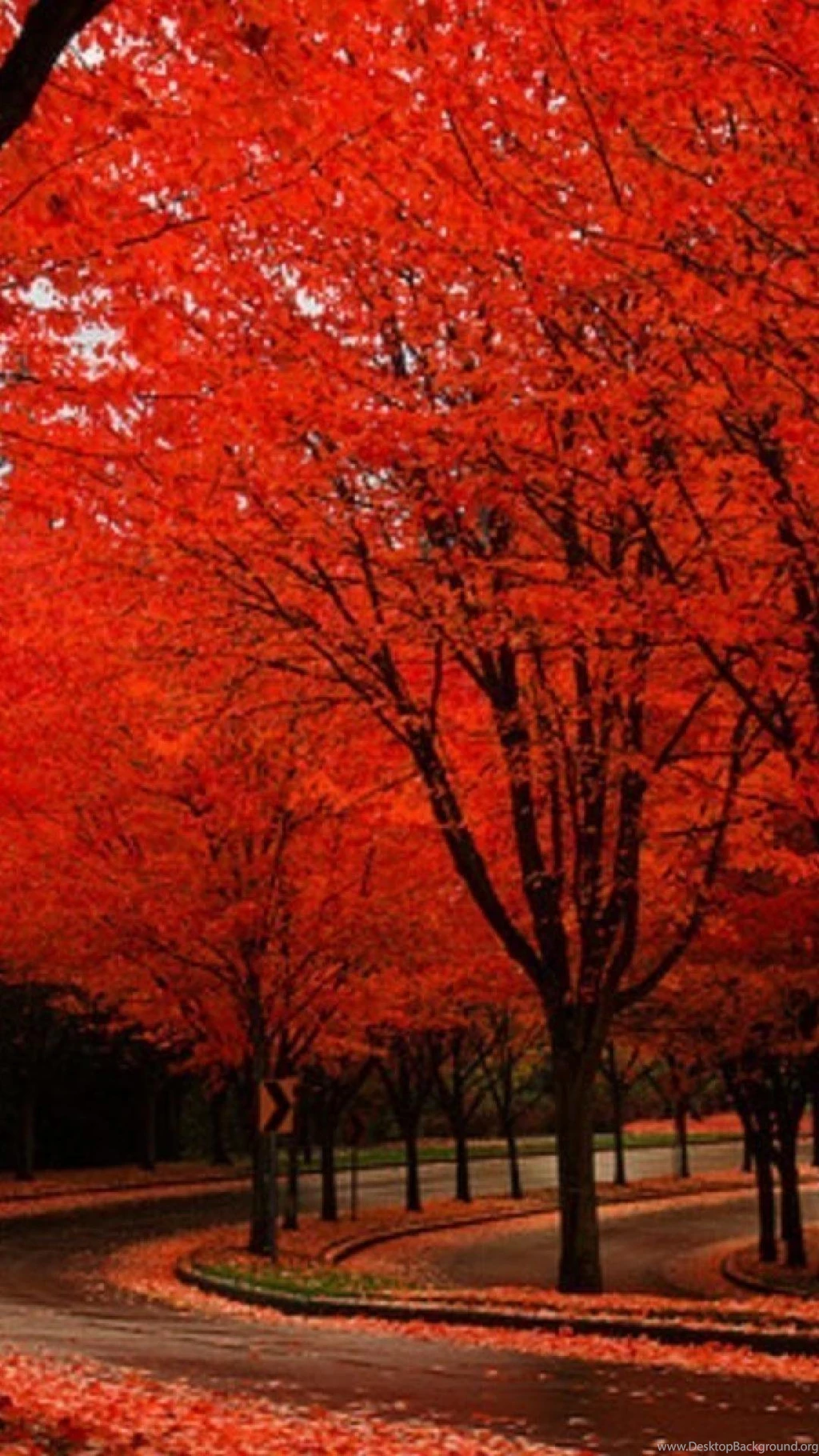 Fall Wallpapers For Iphone – Wallpapers