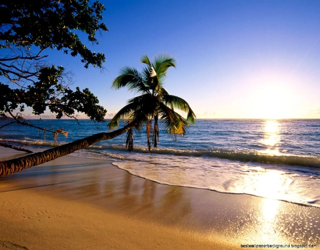 Summer Beach Screensavers Wallpapers