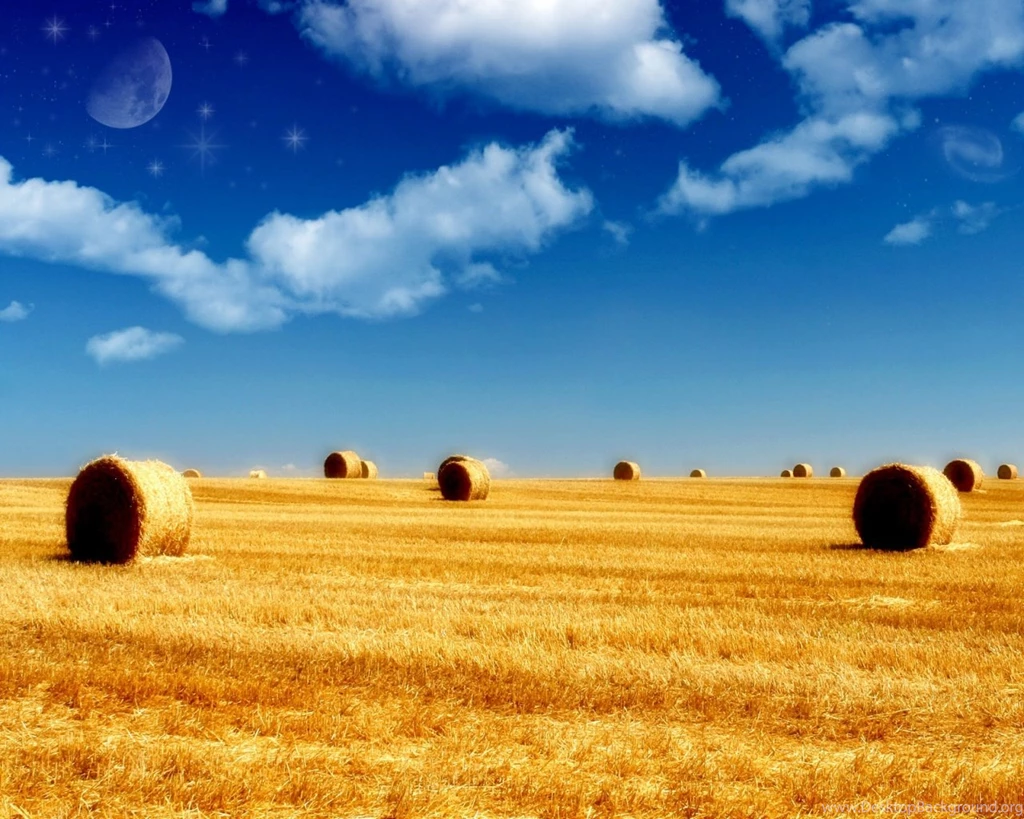 Free Screensavers And Wallpapers 7Screensavers.com