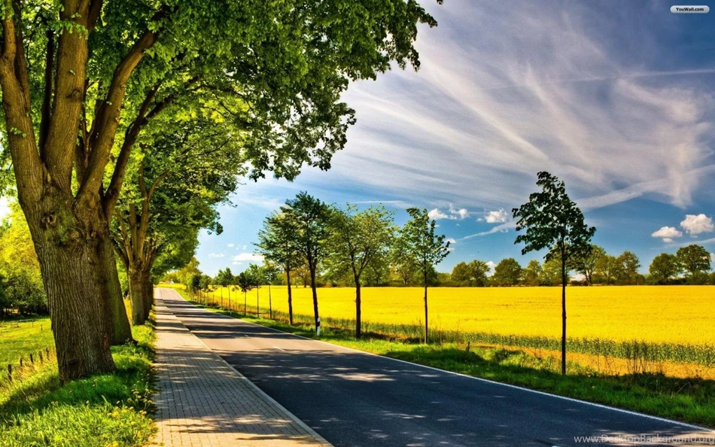 YouWall Spring Road Wallpapers Wallpaper,wallpapers,free ...