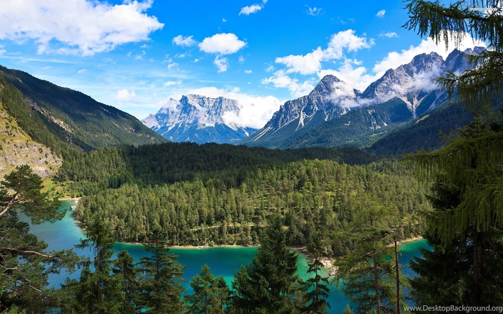 Mountains Forest